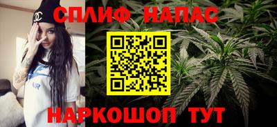 круглые Тара